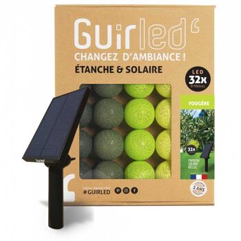 Fougère Guirlande lumineuse extérieure étanche & solaire boules LED  - 32 boules - Magnifique sur arbre 1