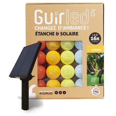 Citrus Outdoor wasserdichte und solarbetriebene LED-Kugel-Lichterketten – 16 Kugeln