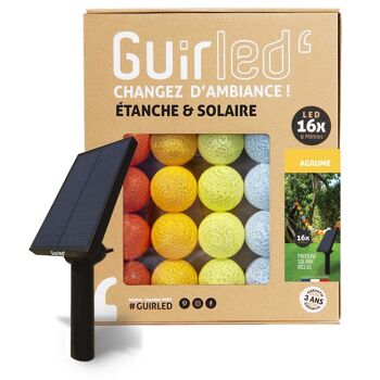 Agrume Guirlande lumineuse extérieure étanche & solaire boules LED  - 16 boules 1