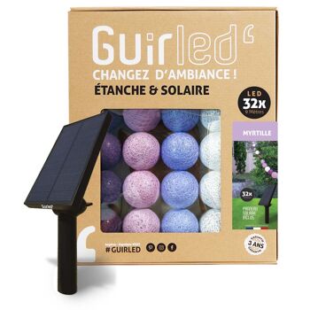 Myrtille Guirlande lumineuse extérieure étanche & solaire boules LED  - 32 boules 1
