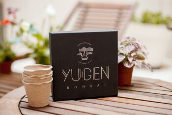 Starter Bonsai Tree Seeds Kit - Comprend 4 types 8