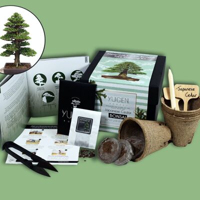 Kit de culture de bonsaï en cèdre du Japon