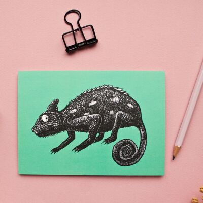 Postcard | chameleon