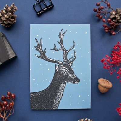 Christmas Card | fallow deer