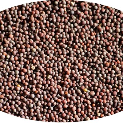 Semi di senape semi di senape marroni / marroni - 1 kg di spezie