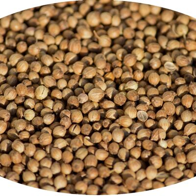 Coriander whole - 1kg