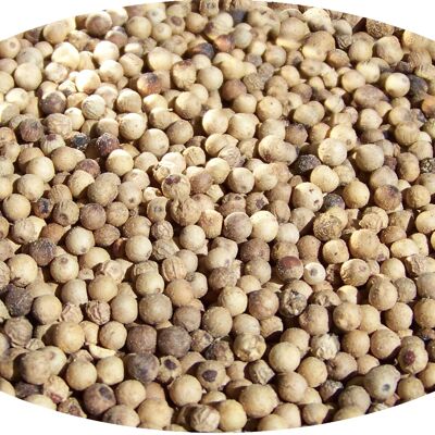 Pepper white whole - 1kg spices