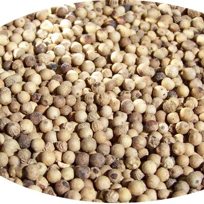 Pepper white whole - 1kg spices