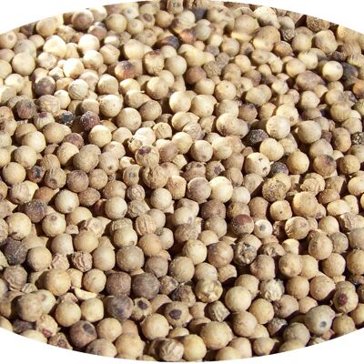 Poivre blanc entier - 1kg épices