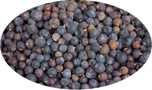 Wacholderbeeren ganz  - 1kg