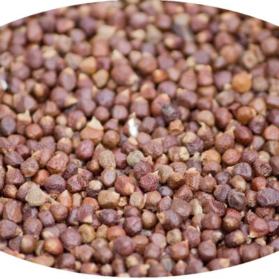 Grains de paradis entiers/ Poivre de Guinée/ Poivre Melegueta - 1kg épices