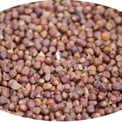 Grains of paradise whole/ Guinea pepper/ Melegueta pepper - 1kg spices