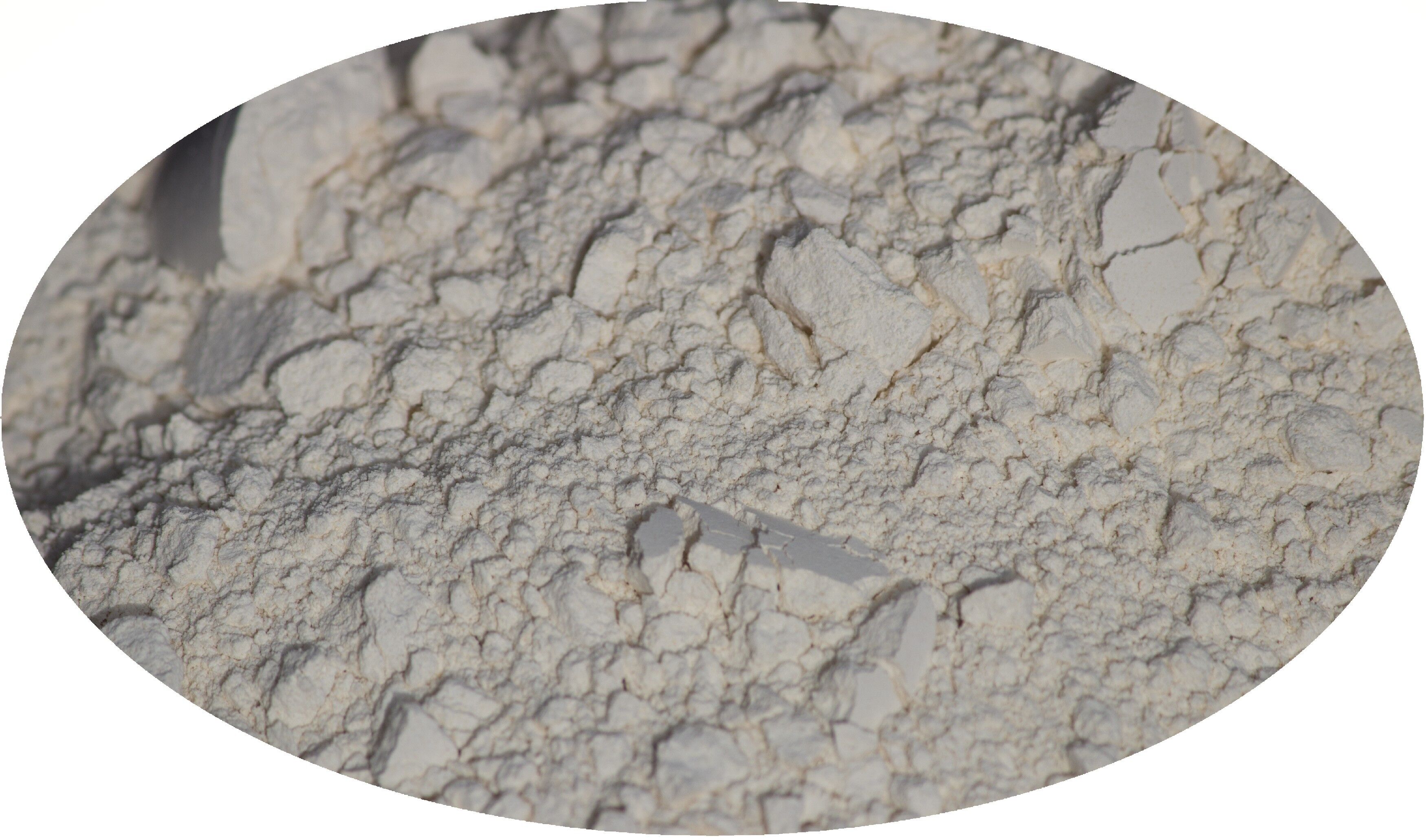 Polvo de rábano picante / rábano picante - 1 kg