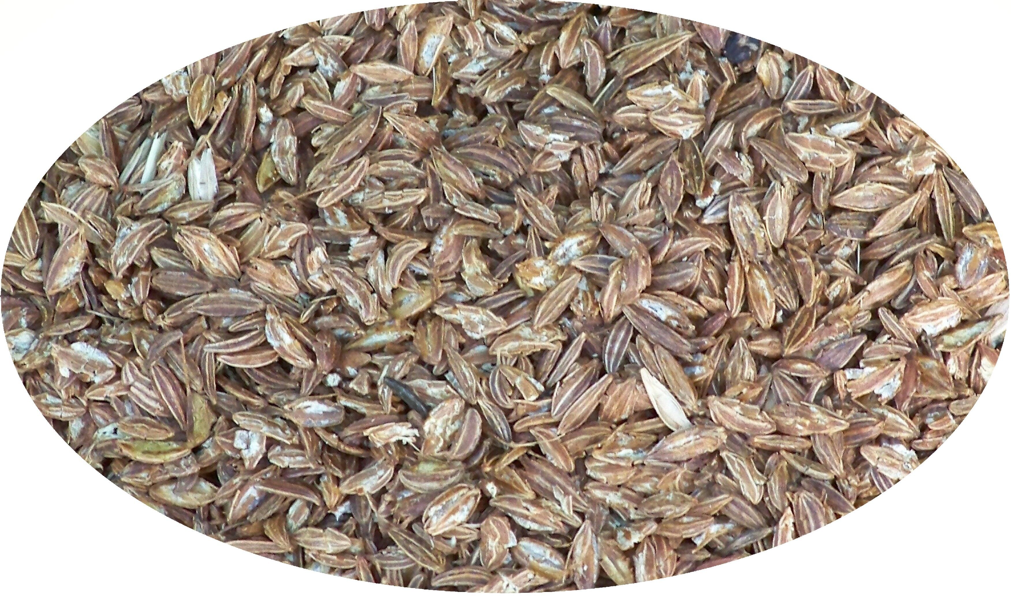 Alcaravea triturada - 1kg