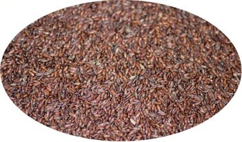 Graines de puces noires entières - 1kg / Semen Psyllii ( nigri ) toto