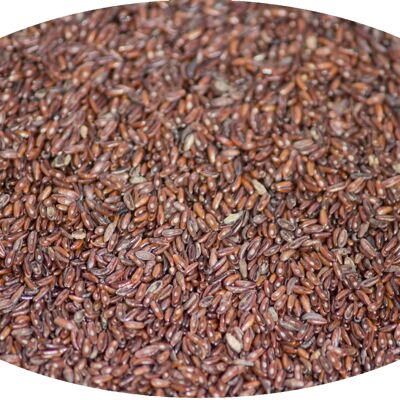 Flohsamen schwarz ganz - 1kg / Semen Psyllii ( nigri ) toto