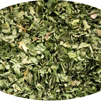 Hojas de cilantro - 1kg