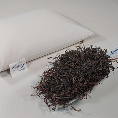 40 x 60 cm seagrass sleeping pillow, organic twill, item 0644101