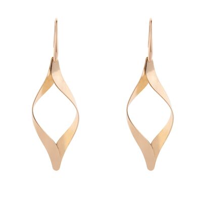 Zaha Contemporary Abstract Hook Earrings DE0804K