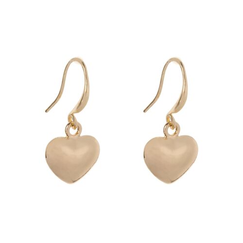 Emily Contemporary Heart Hook Earrings DE0920R