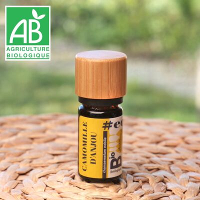 Chamomile d'Anjou essential oil, certified organic