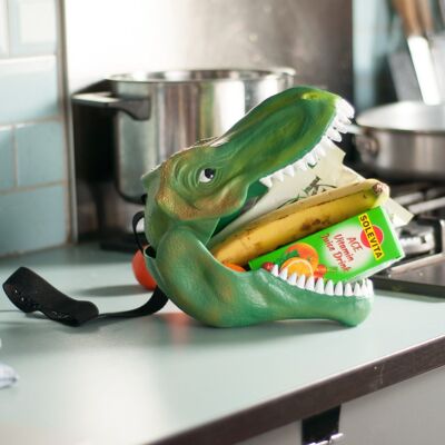 DINOSAUR LUNCH BOX