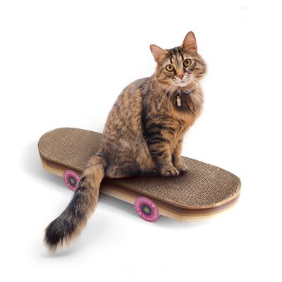 Skateboard con graffi di gatto
