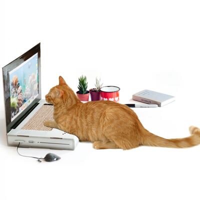 Cat Scratch Laptop
