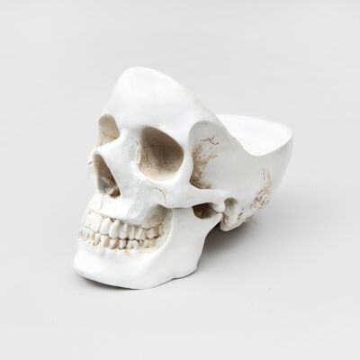 Skull Tidy White