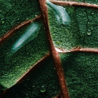 Sports mat - Green leaf - thick (10 mm) and non-slip
