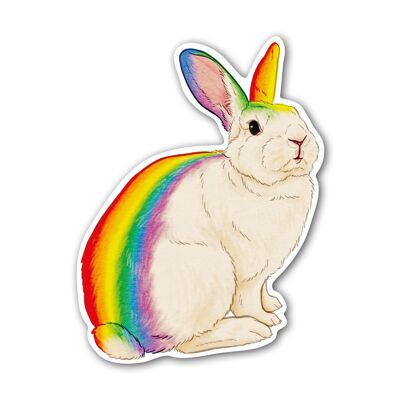 Adesivo "Coniglio arcobaleno"