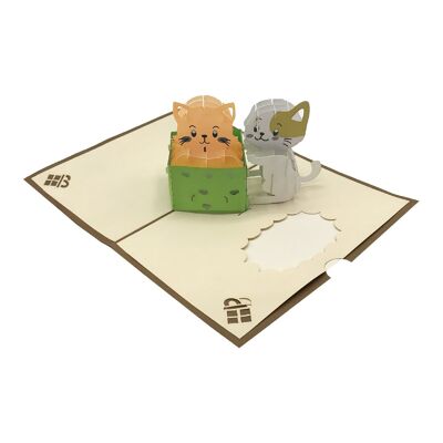 Gattino nella scatola Pop-up-3D