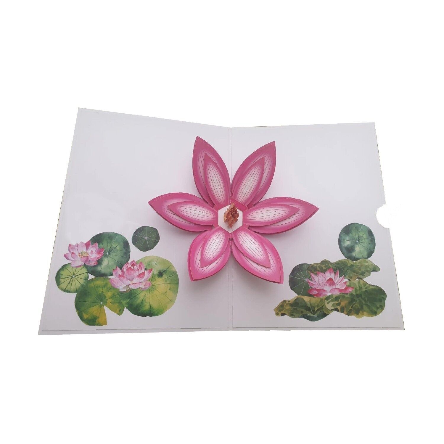 Fiore sull'acqua Pop-up 3D