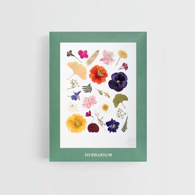 Herbarium Isae - cover