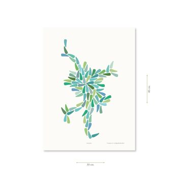 Affiche – Dansia (bleu-vert) - 21 x 30 cm 6