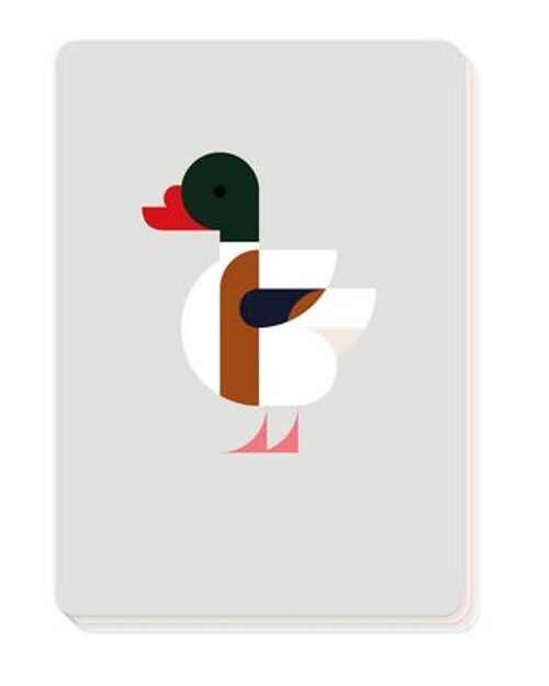 10 cards blanco – Set