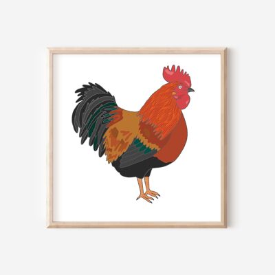 Impresión de arte de gallo ? Arte de pared con temática de pájaros | Impresión de granja