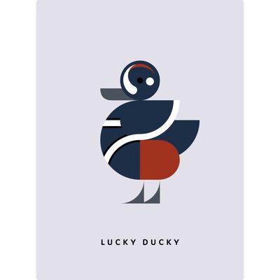 Pato arlequín - Lucky Ducky