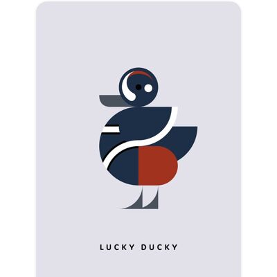 Harlequin duck - Lucky Ducky