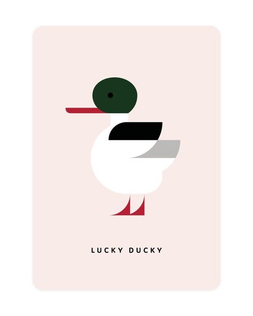 Common Merganser - Lucky Ducky