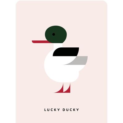 Smergo comune - Lucky Ducky