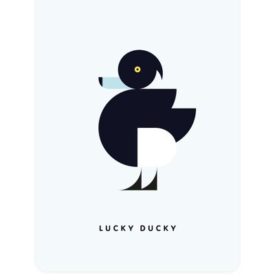 Pato moñudo - Lucky Ducky