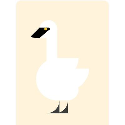 Whisling Swan