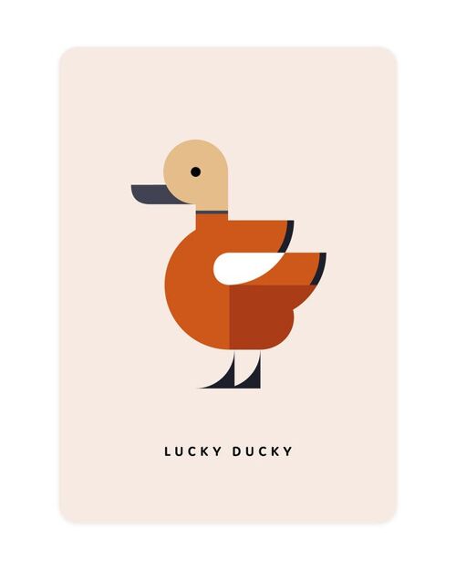 Ruddy Shelduck | Lucky Ducky