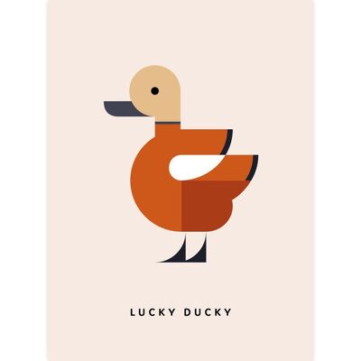 Ruddy Shelduck | Lucky Ducky