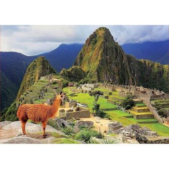 Puzzle Educa 1000 pièces Machu Picchu 2