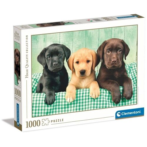 Puzzle 1000 piezas tres perros labradores