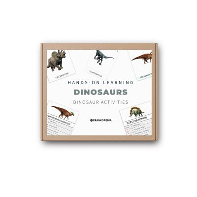 Dinosaur flashcards and figurines