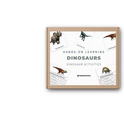 Flashcards et figurines de dinosaures