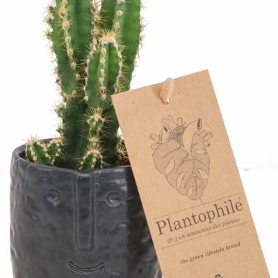 Cactus 6 cm facepot black